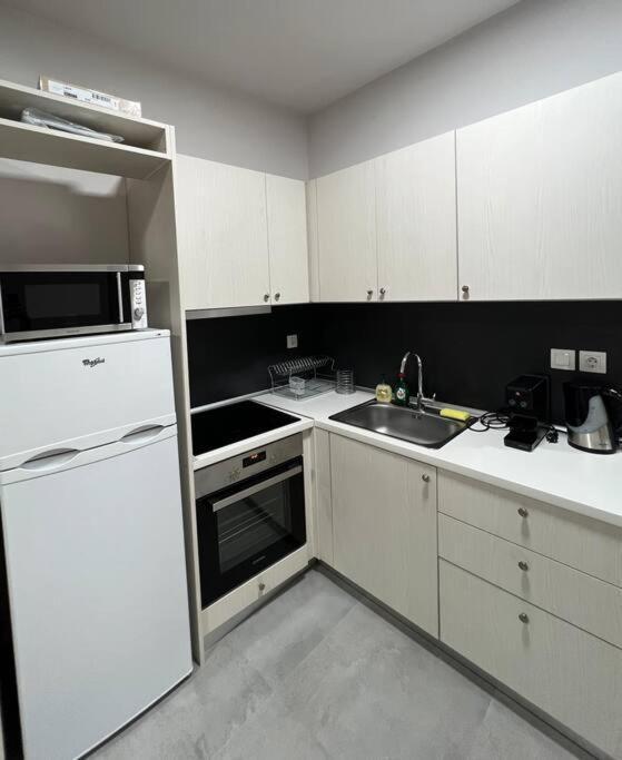 Othonos 10 Str. Apartment. Tríkala エクステリア 写真