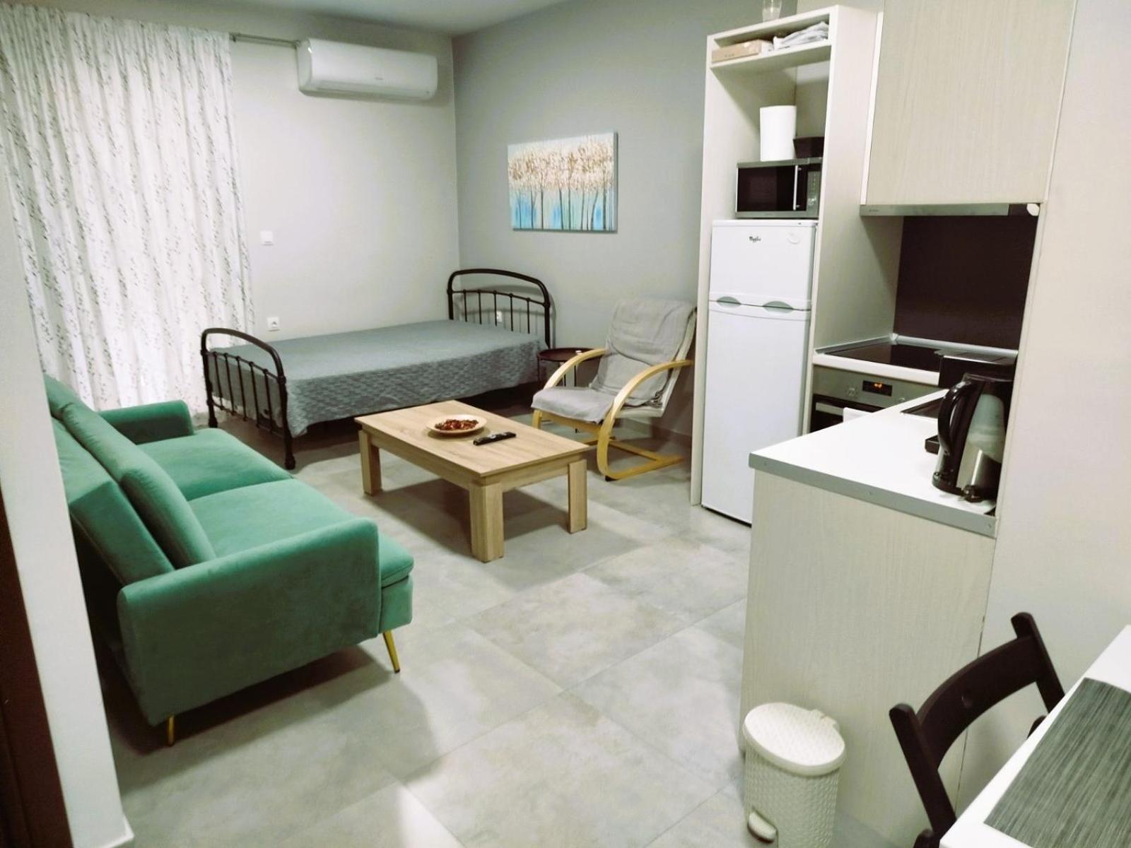 Othonos 10 Str. Apartment. Tríkala エクステリア 写真
