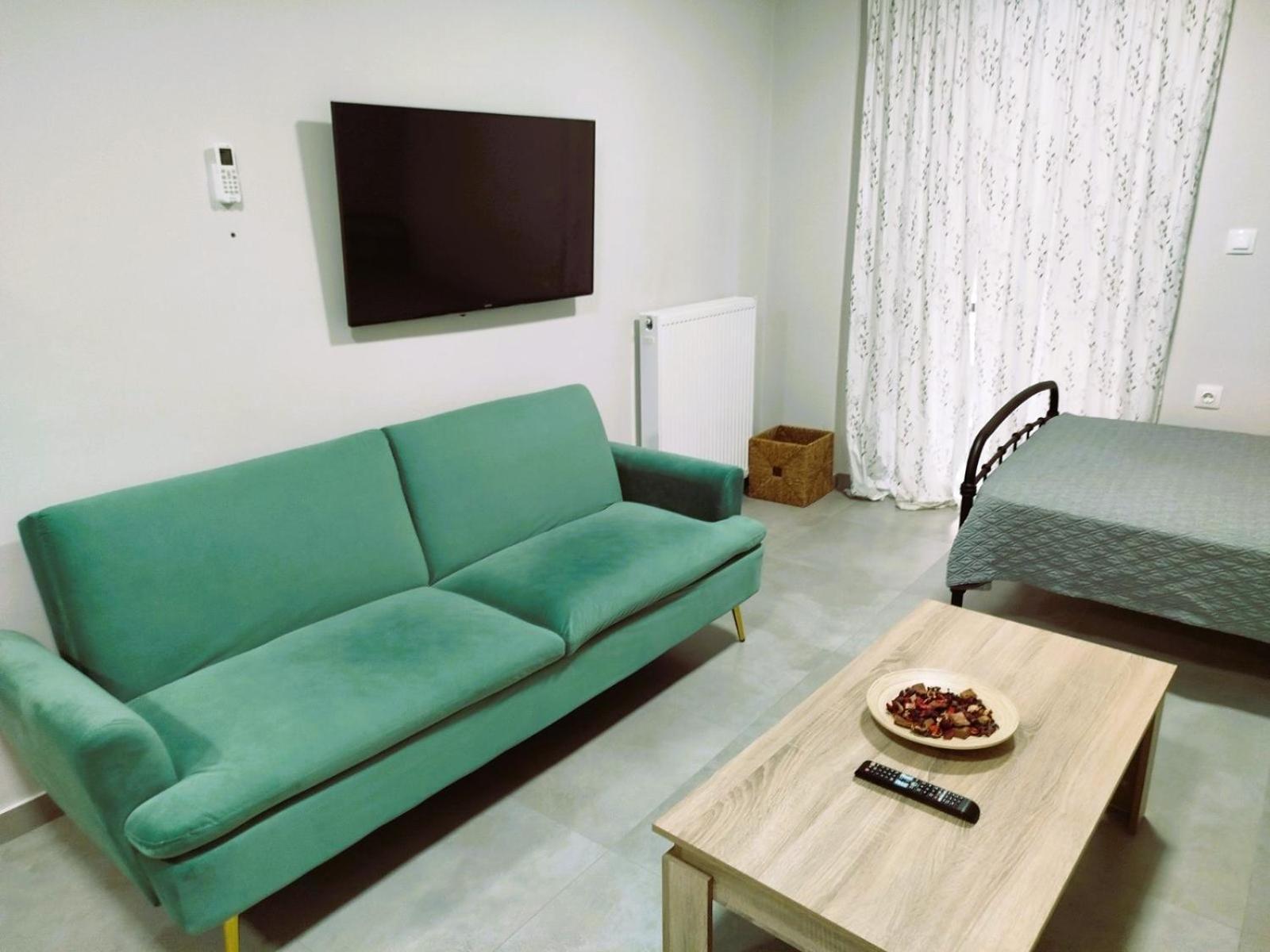 Othonos 10 Str. Apartment. Tríkala エクステリア 写真