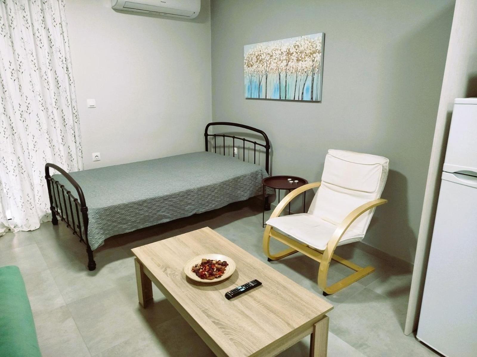 Othonos 10 Str. Apartment. Tríkala エクステリア 写真